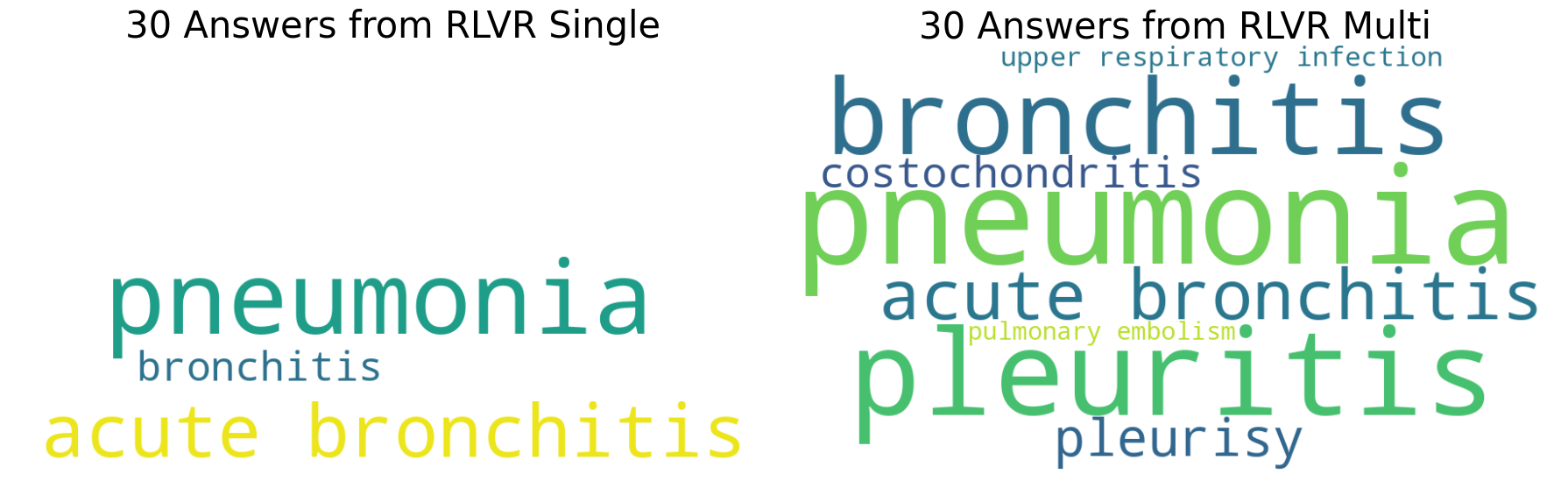 Word cloud comparing answer diversity: RLVR Single vs RLVR Multi